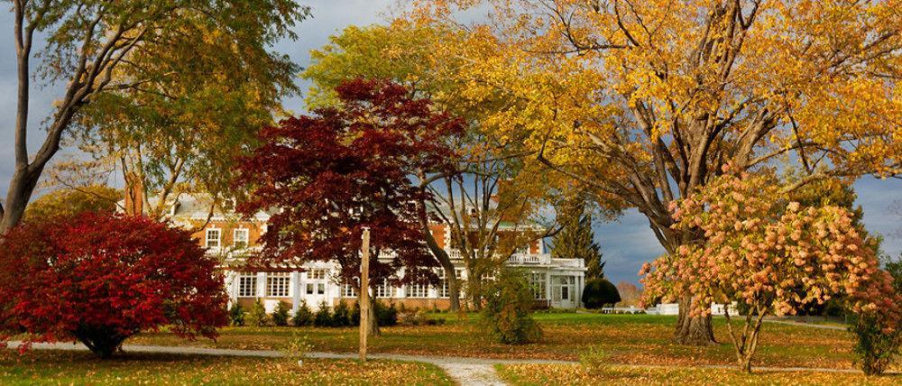 Eastover Estate And Eco Village Resort